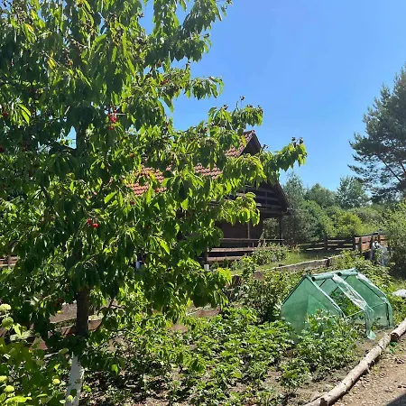 Zakatek * Кретовины